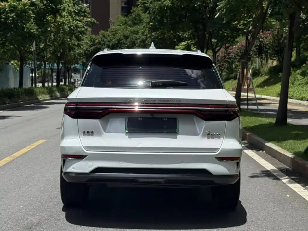 BYD Pro New Energy 2019 — фото 22