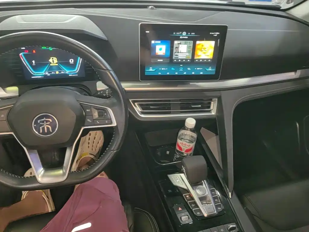 BYD Pro New Energy 2019