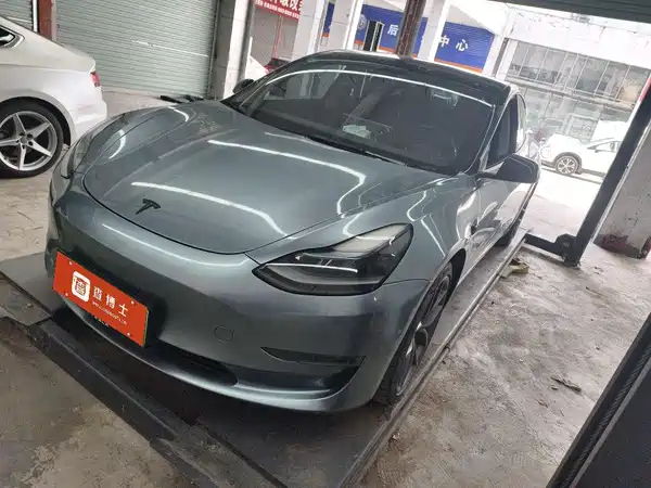Tesla Model 3 2022