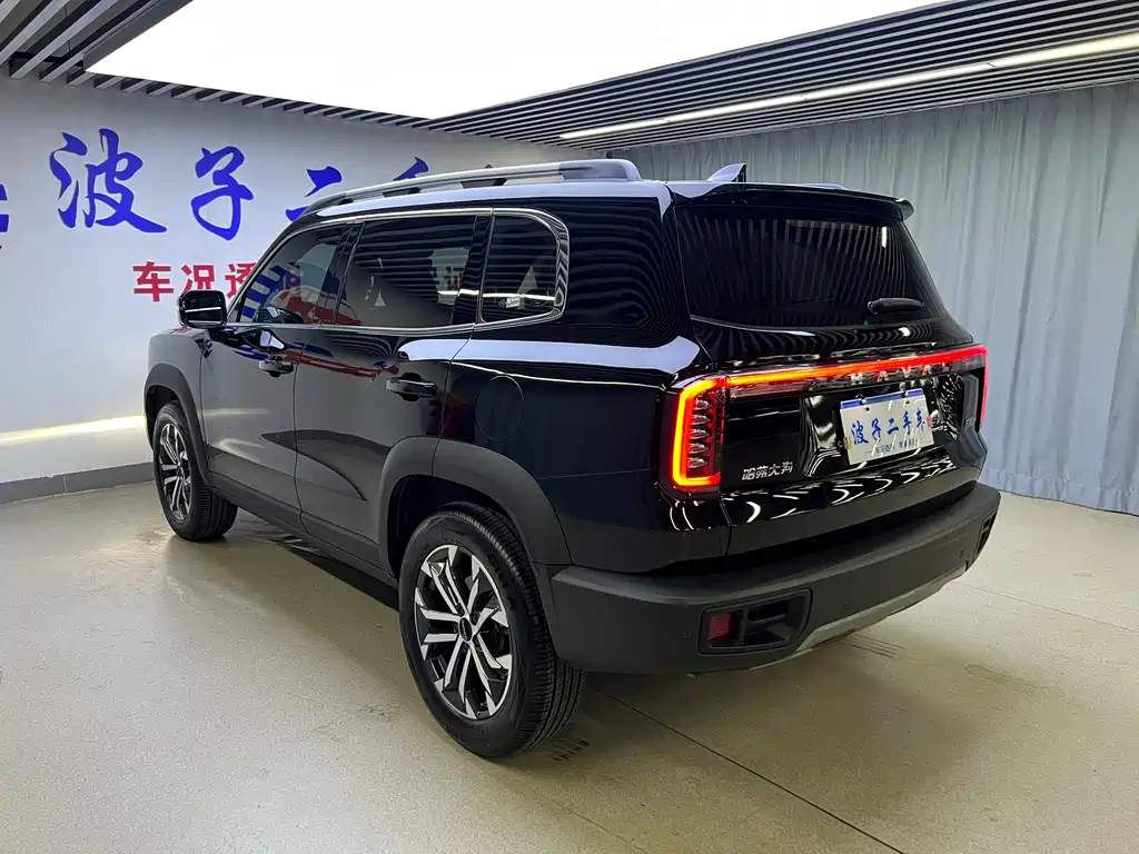 Haval Big Dog 2024 — фото 19
