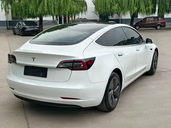 Tesla Model 3 2019