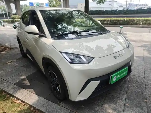 BYD Seagull 2024