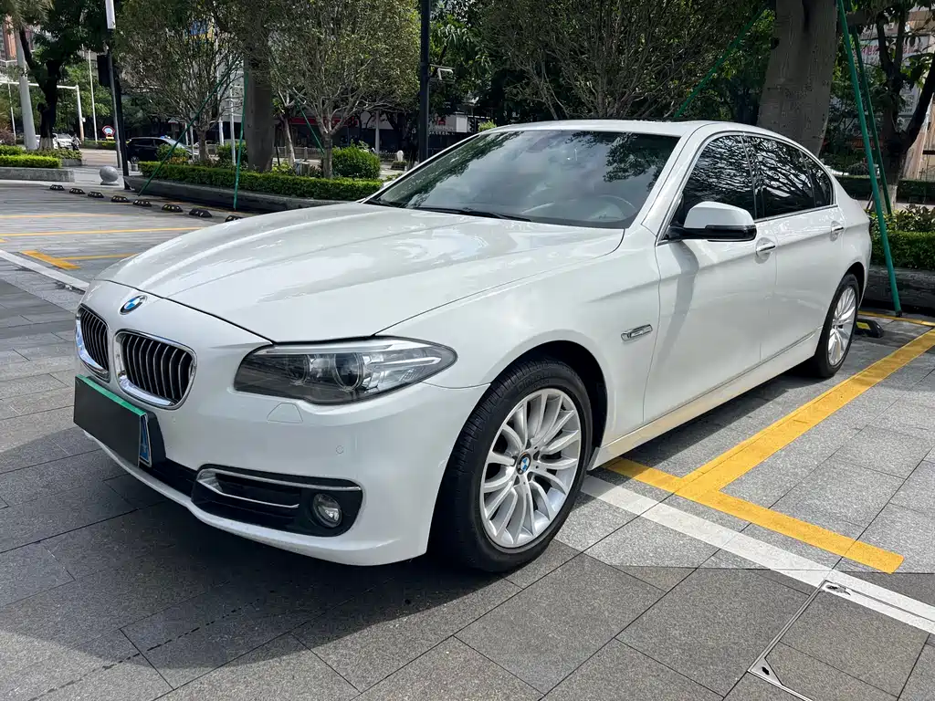 BMW 5 Series 2015 — фото 1