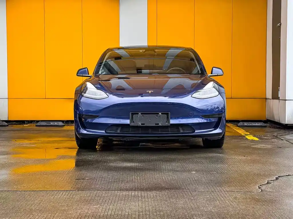 Tesla Model 3 2020 — фото 2