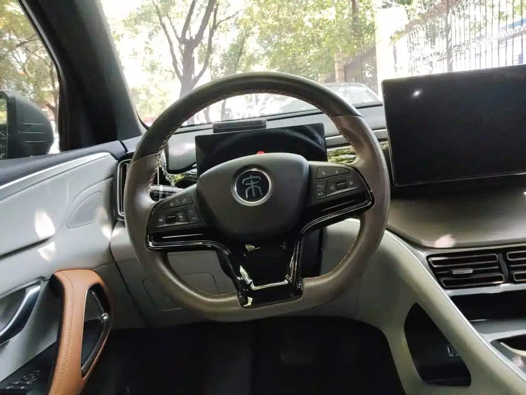 BYD Pro New Energy 2023 — фото 3
