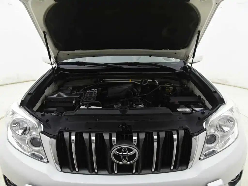 Toyota Prado 2010 — фото 15