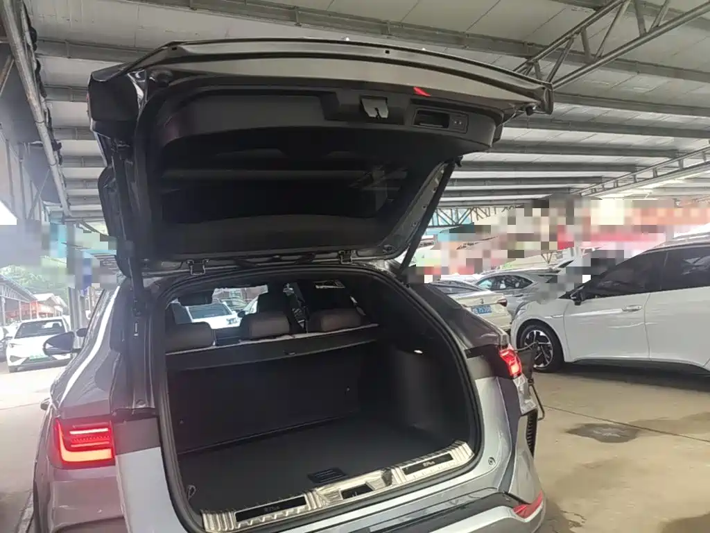 BYD PLUS New Energy 2025 — фото 19