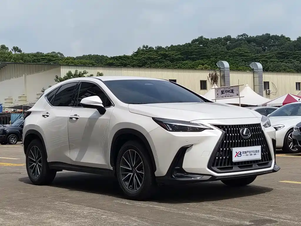 Lexus NX 2024 — фото 2