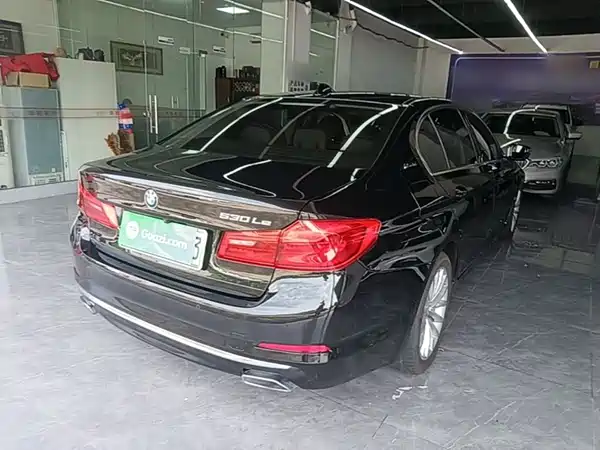BMW 5 Series New Energy 2019