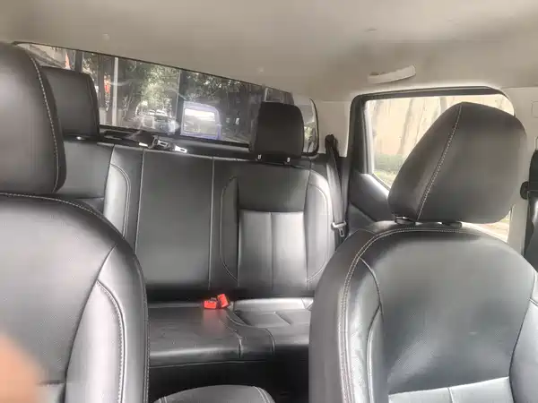 Dongfeng Ruiqi 2019