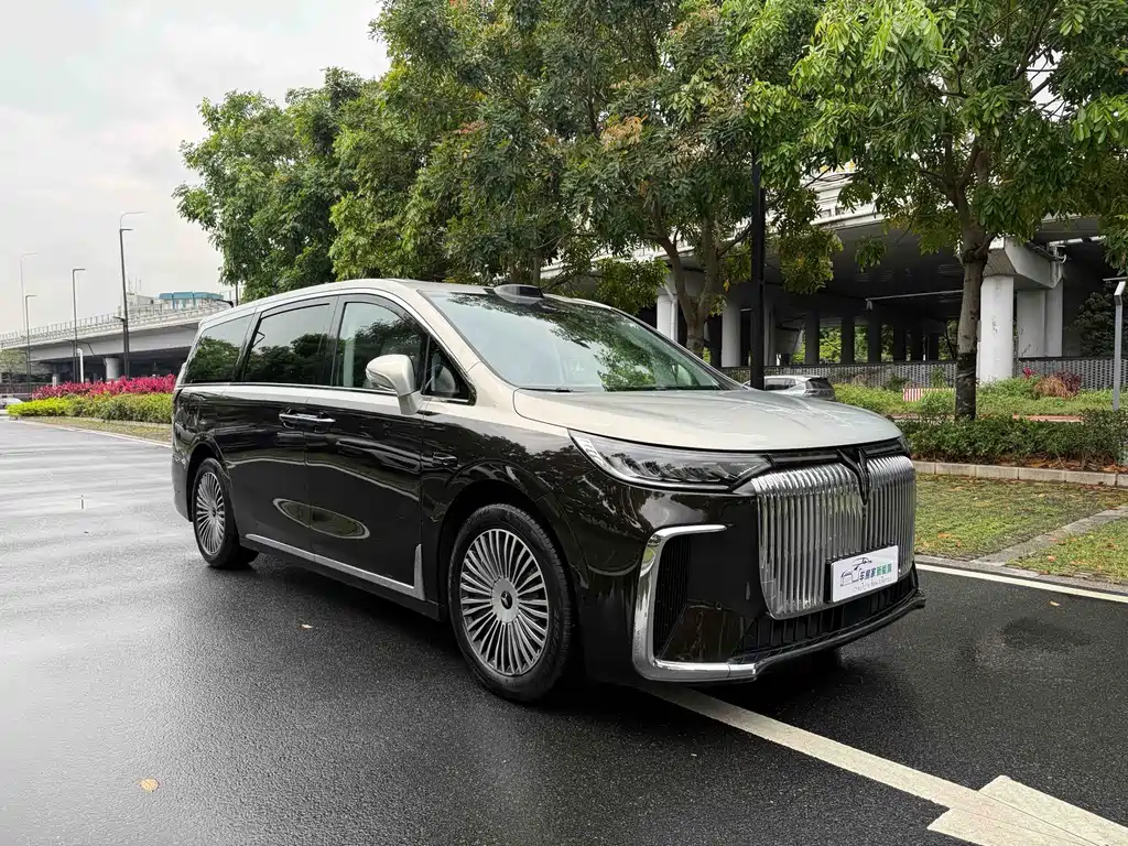 VOYAH Dreamer 2024 — фото 3
