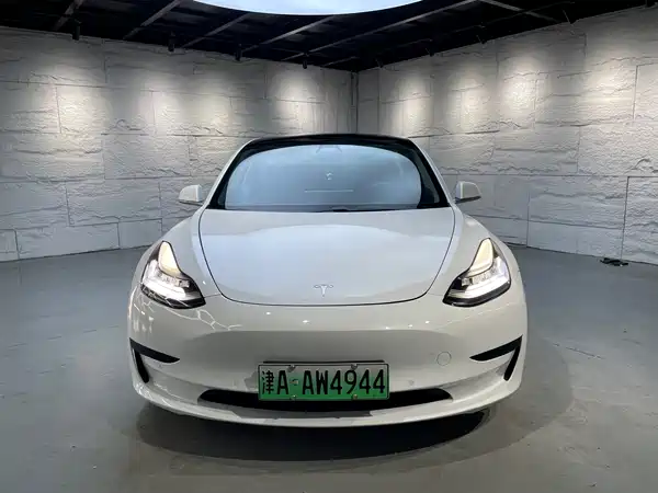 Tesla Model 3 2019