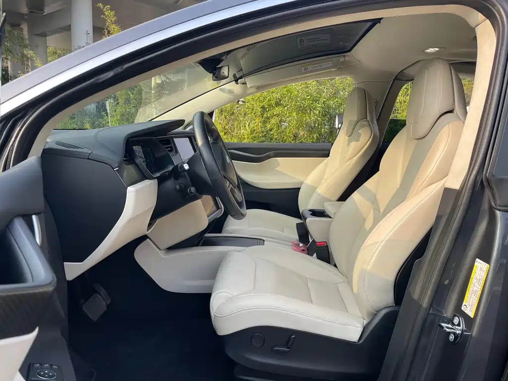 Tesla Model X 2019 — фото 11