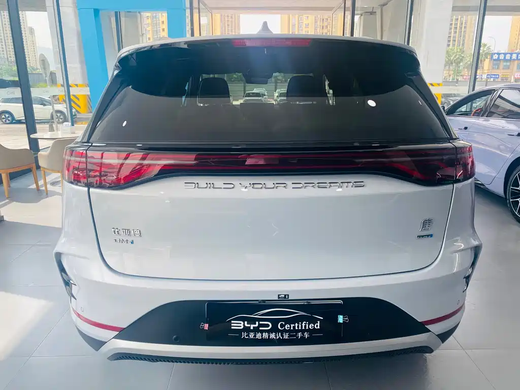 BYD Tang New Energy 2025 — фото 16