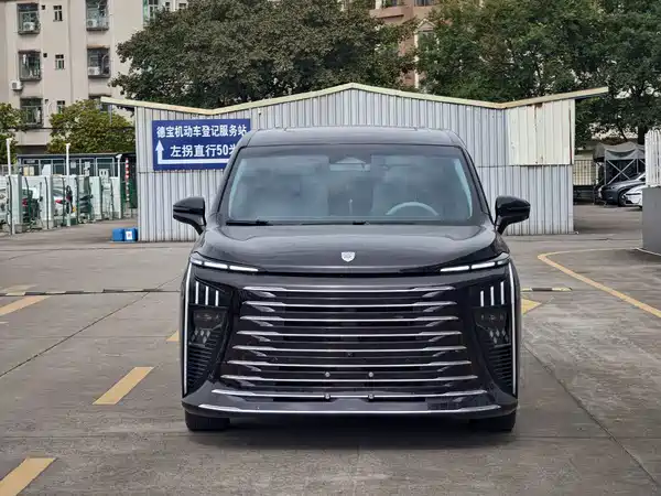 Dongfeng Forthing Xinghai V9 2024