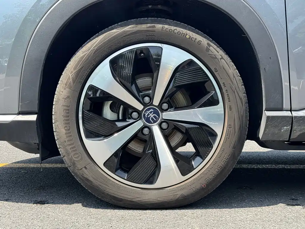 BYD PLUS New Energy 2023 — фото 19