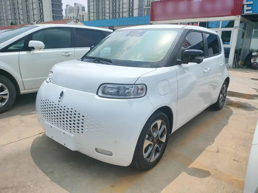 Ora White Cat 2021