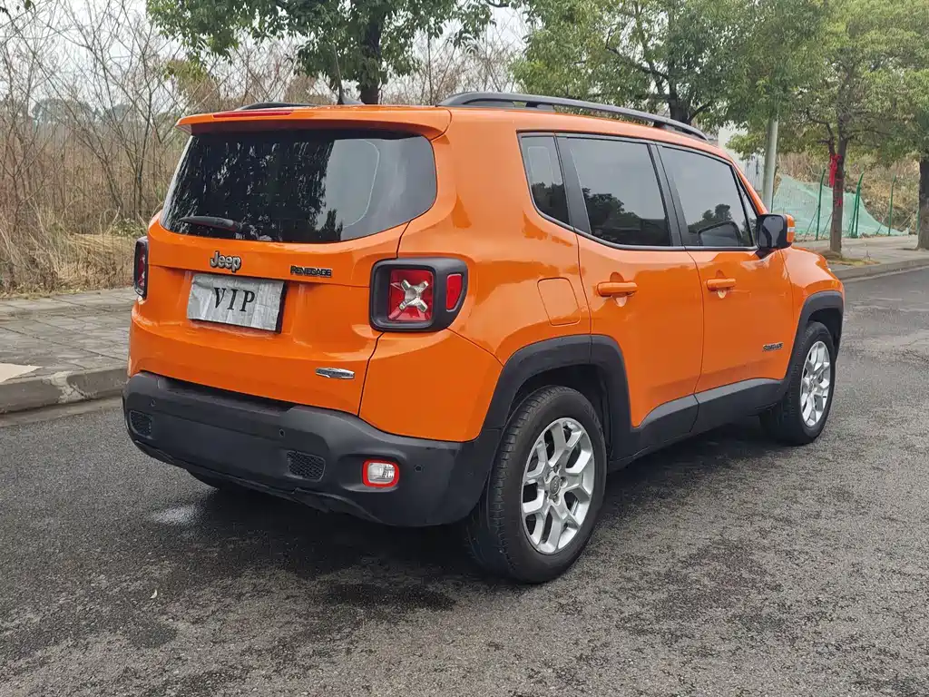 Jeep Renegade 2019 — фото 14