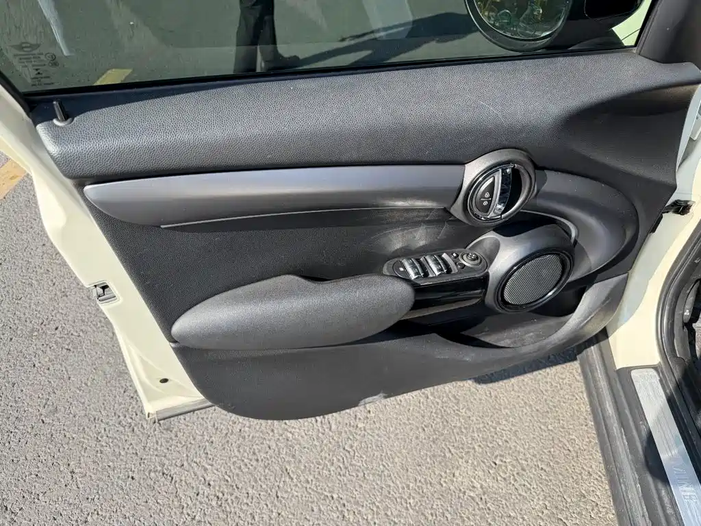 MINI MINI 2022