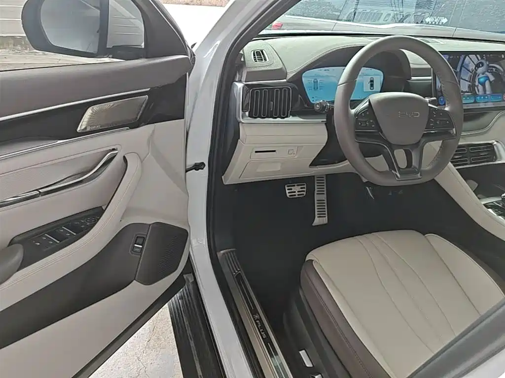 BYD PLUS New Energy 2025 — фото 16