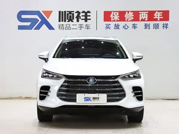 BYD Tang New Energy 2020