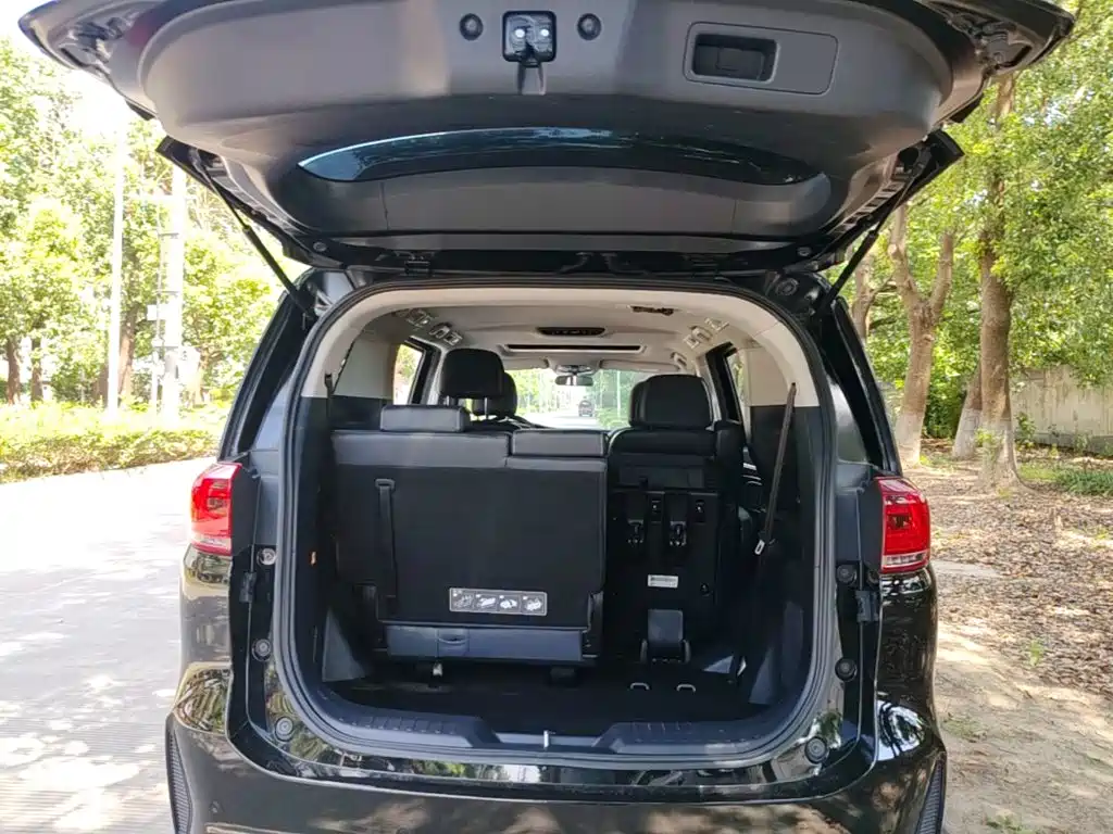 GAC Trumpchi M8 2020 — фото 19
