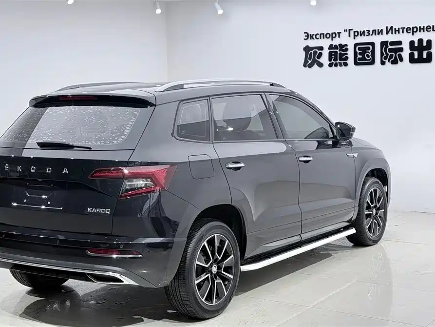 Skoda Karoq 2022 — фото 4