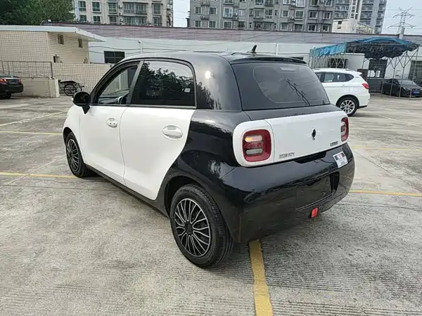 Ora Black Cat 2020