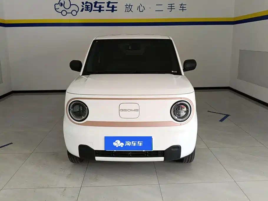 Geely Galaxy Panda 2025