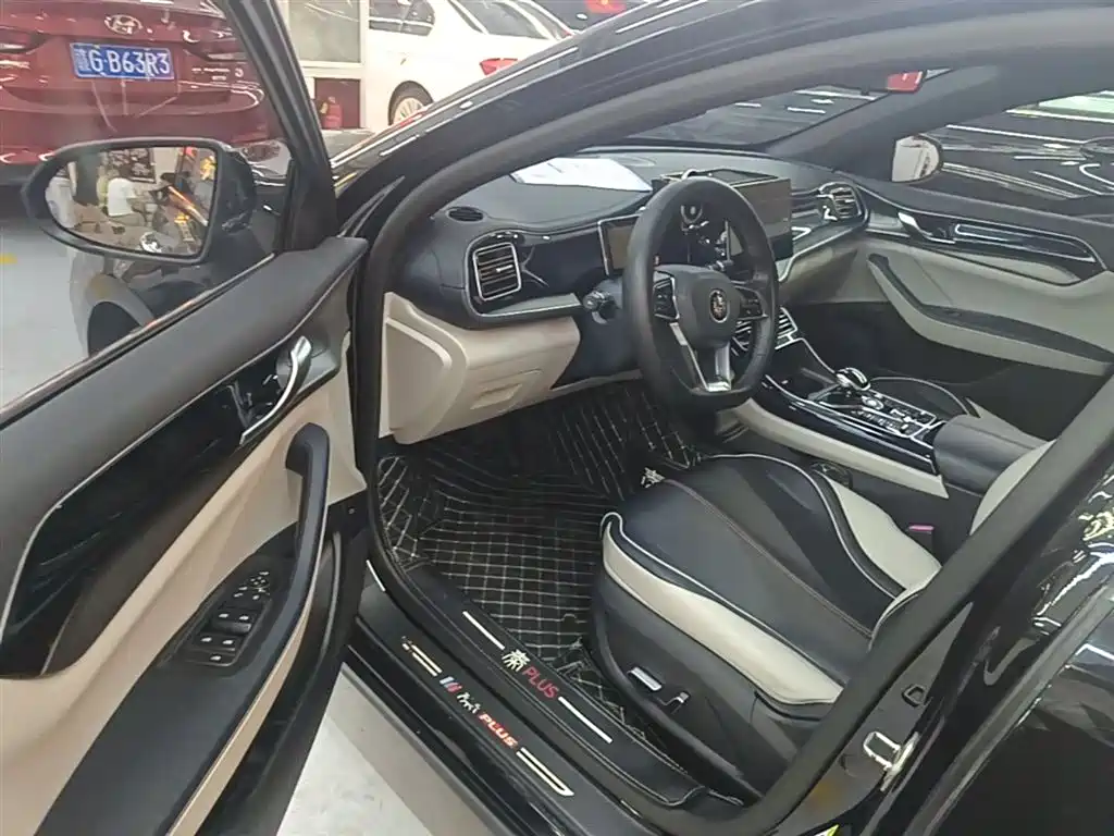 BYD Qin PLUS 2022 — фото 15