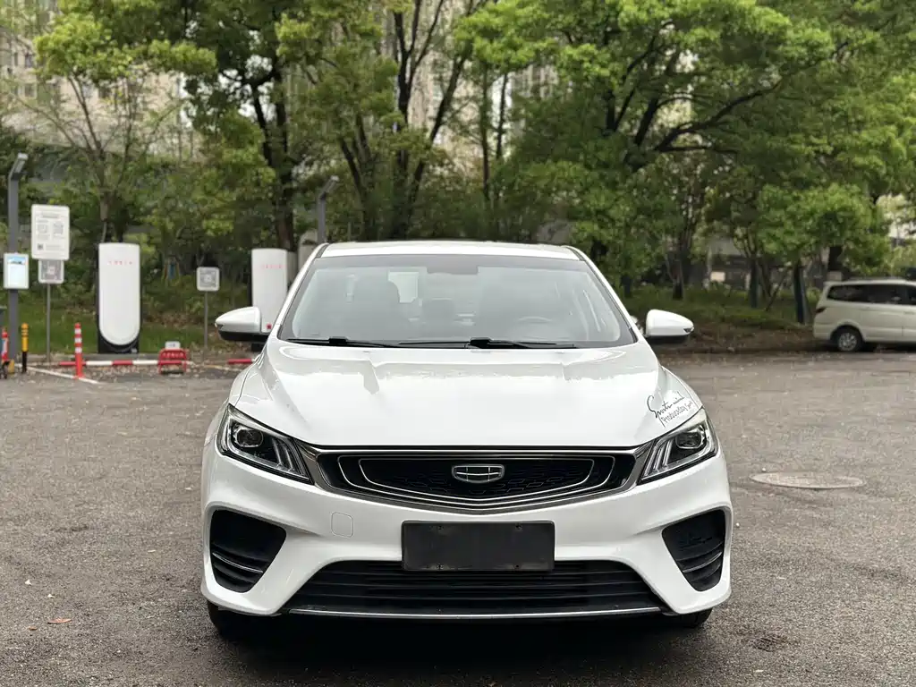 Geely Binrui 2019