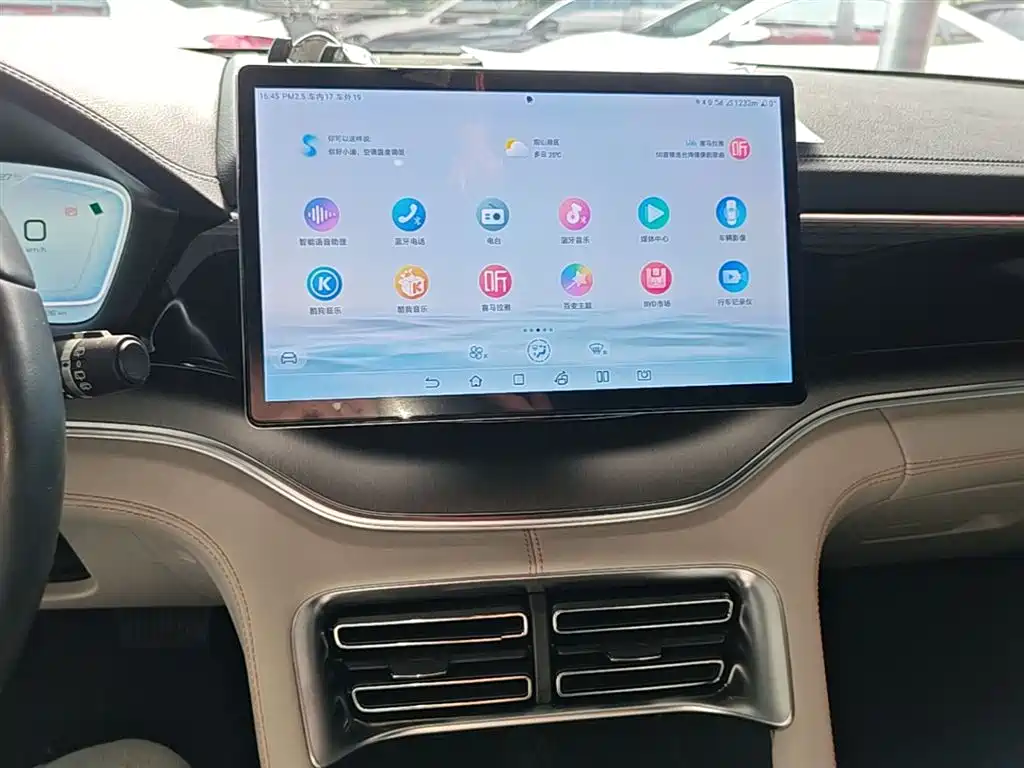 BYD PLUS New Energy 2024 — фото 13