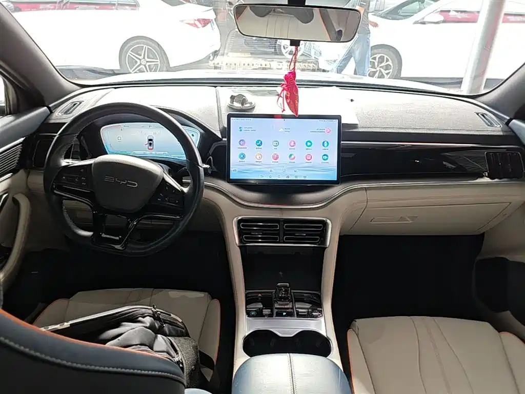 BYD PLUS New Energy 2024 — фото 10