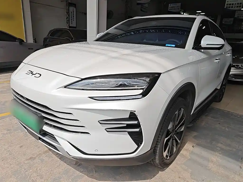 BYD PLUS New Energy 2025 — фото 2