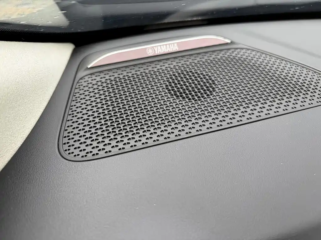GAC Trumpchi E9 2023 — фото 13