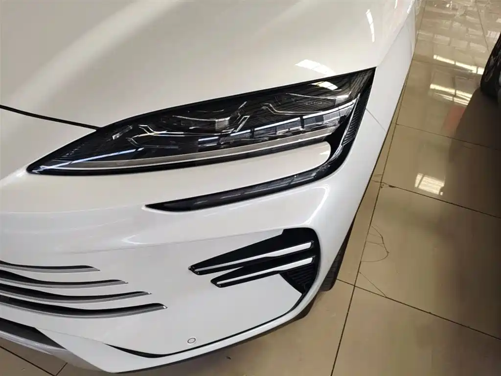 BYD PLUS New Energy 2024 — фото 24