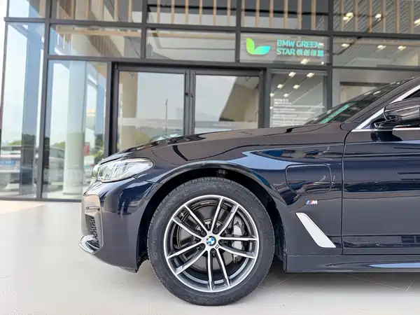 BMW 5 Series New Energy 2021
