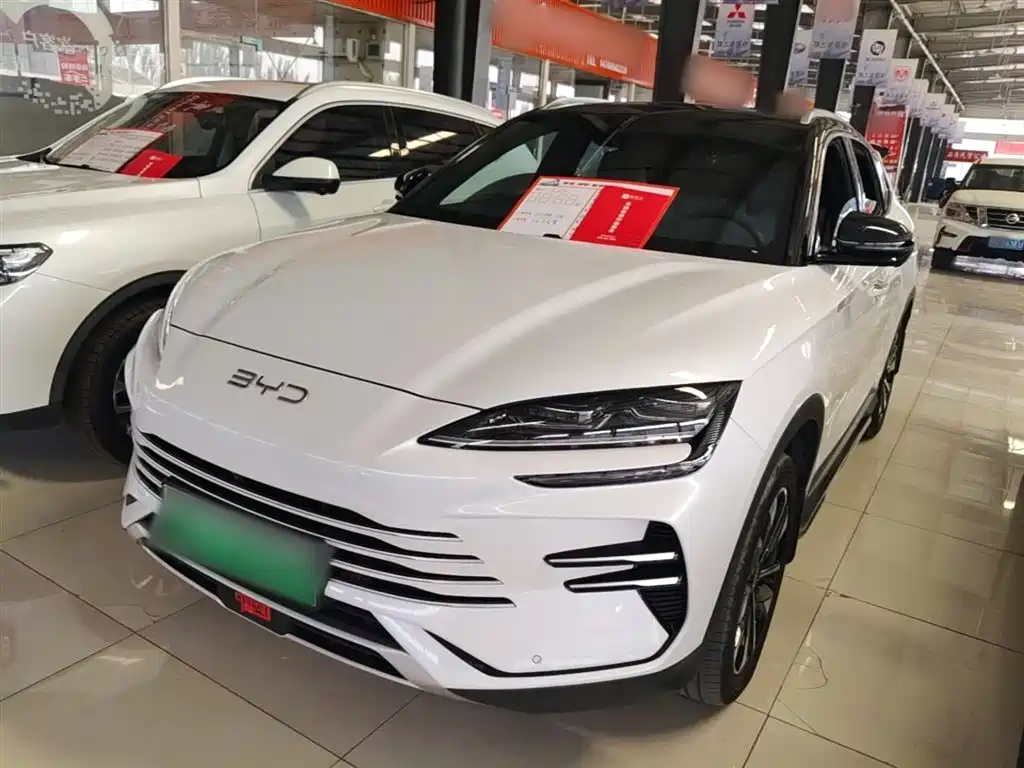 BYD PLUS New Energy 2024 — фото 2