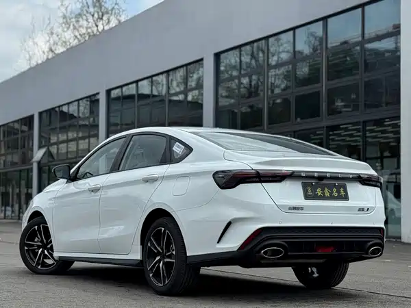 Geely Binrui 2024