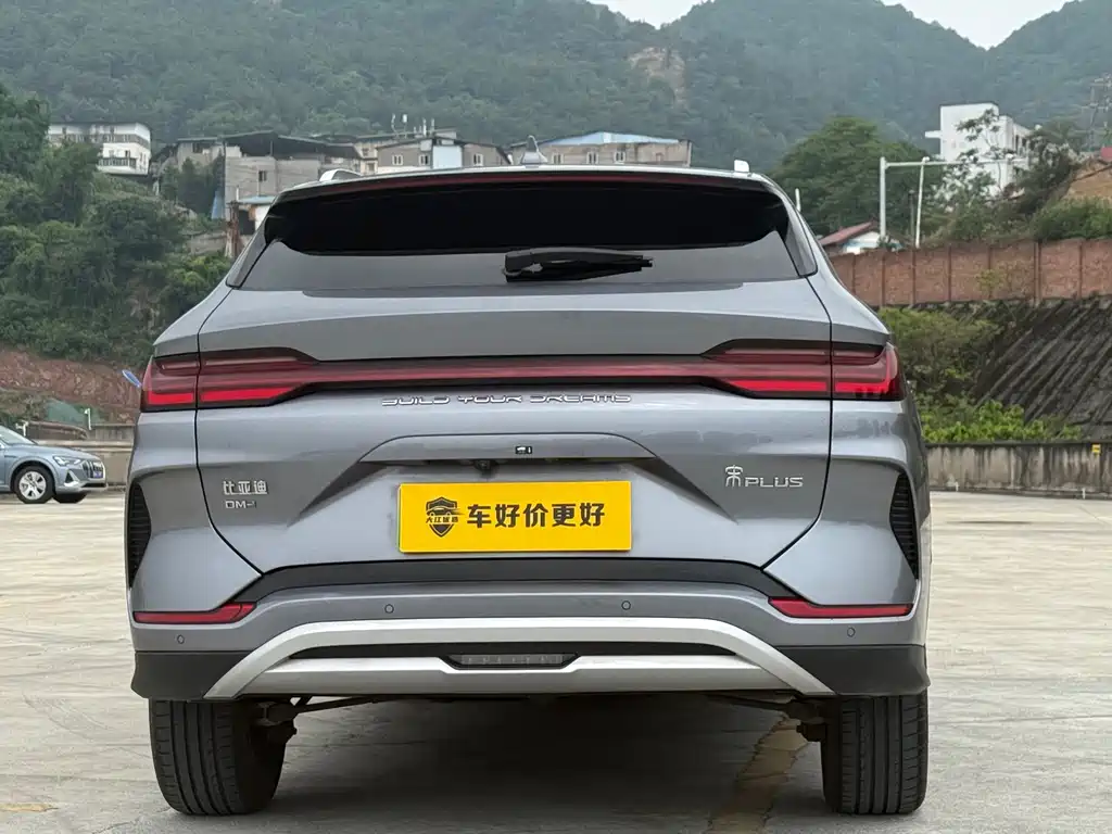 BYD PLUS New Energy 2023 — фото 14