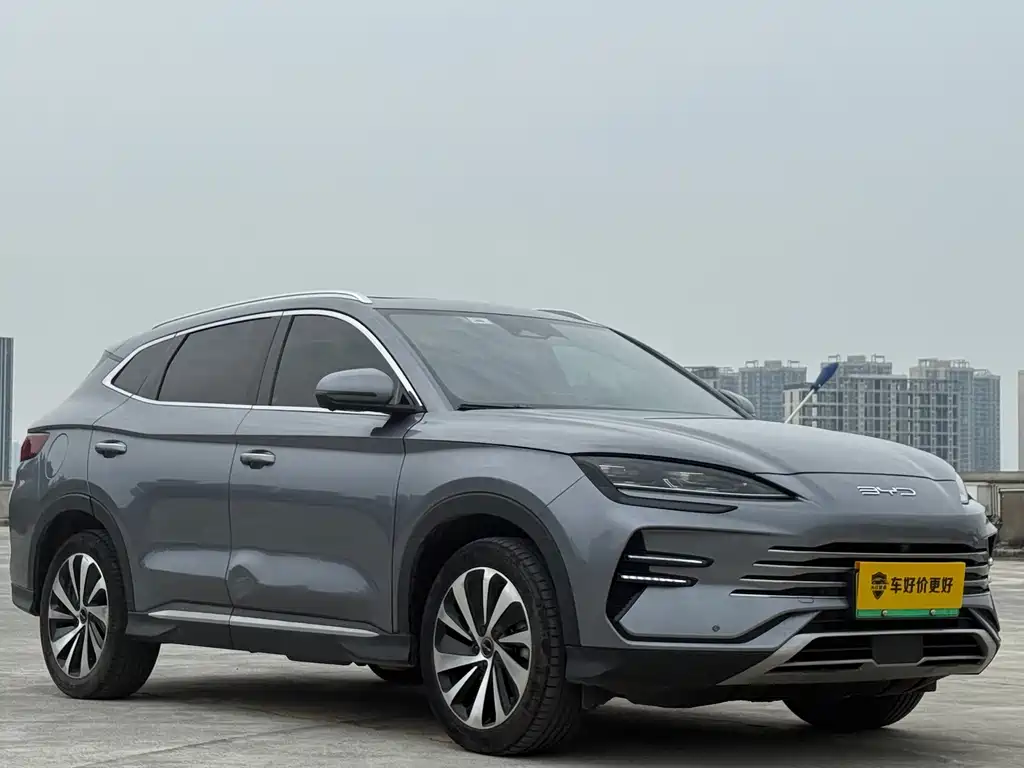 BYD PLUS New Energy 2023 — фото 3