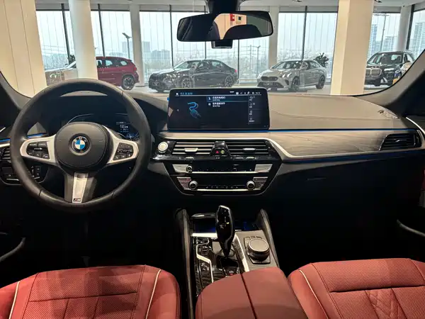 BMW 5 Series New Energy 2021