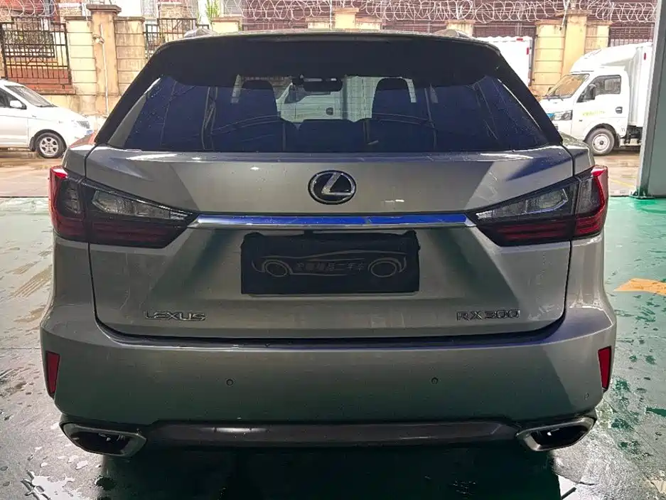 Lexus RX 2019 — фото 11