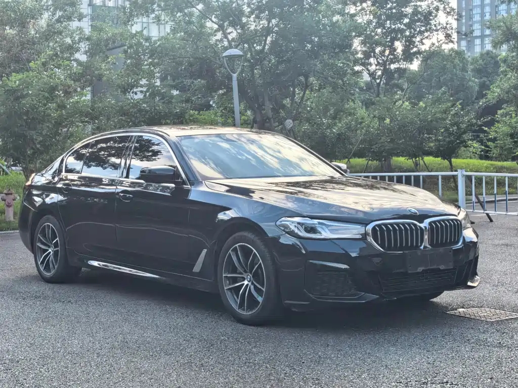 BMW 5 Series 2022