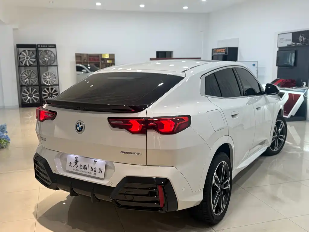 BMW X2 2025 — фото 8