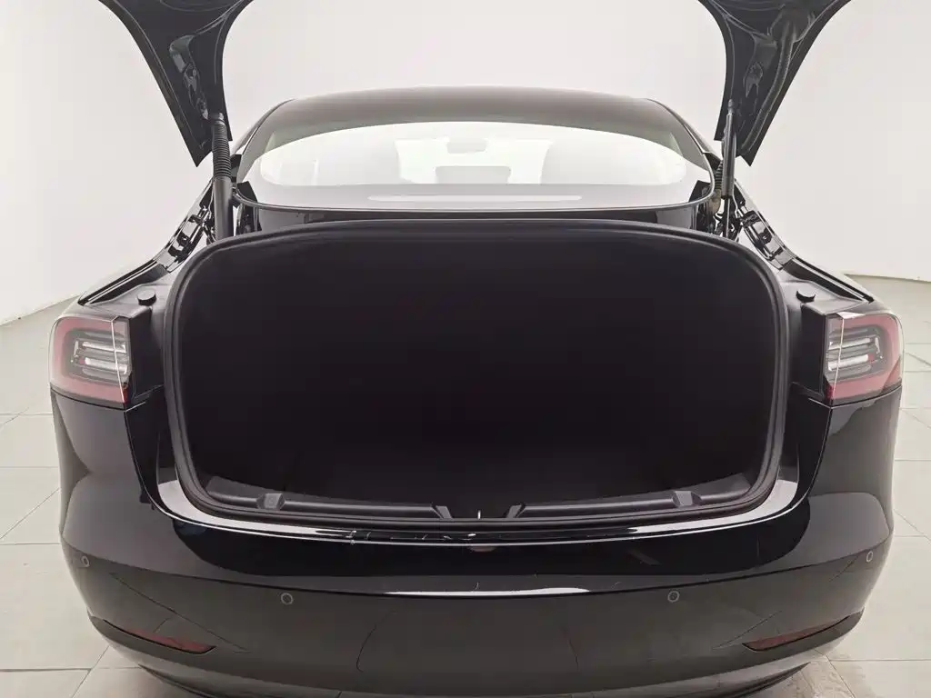 Tesla Model 3 2021 — фото 16