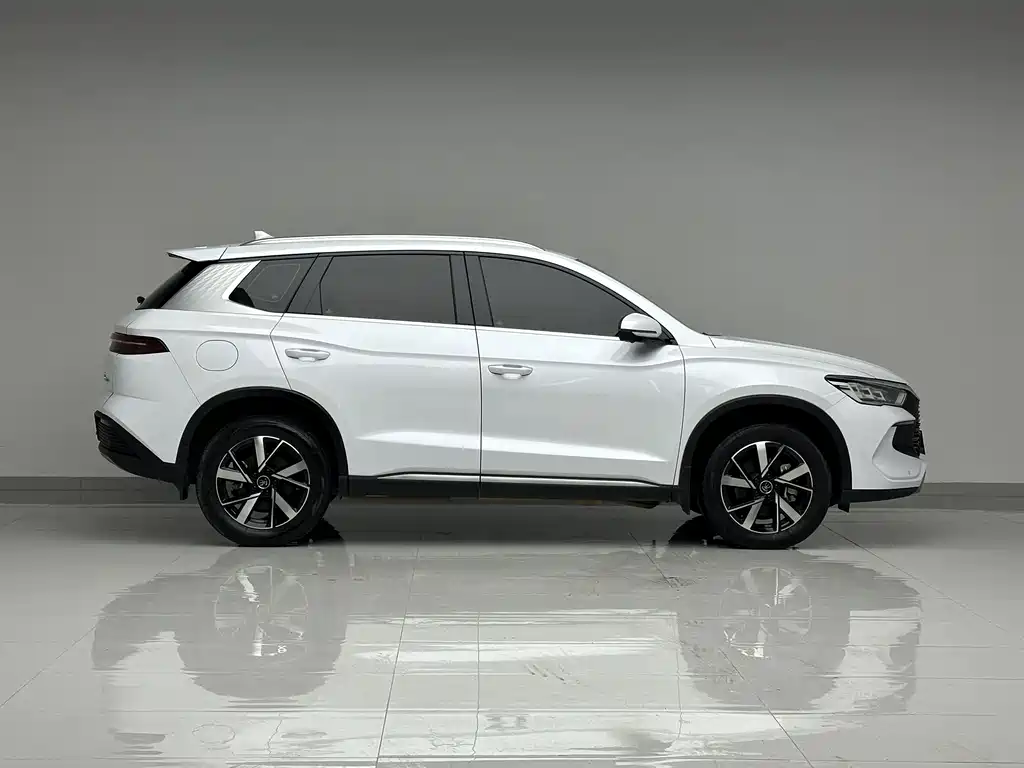 BYD Pro New Energy 2024 — фото 4