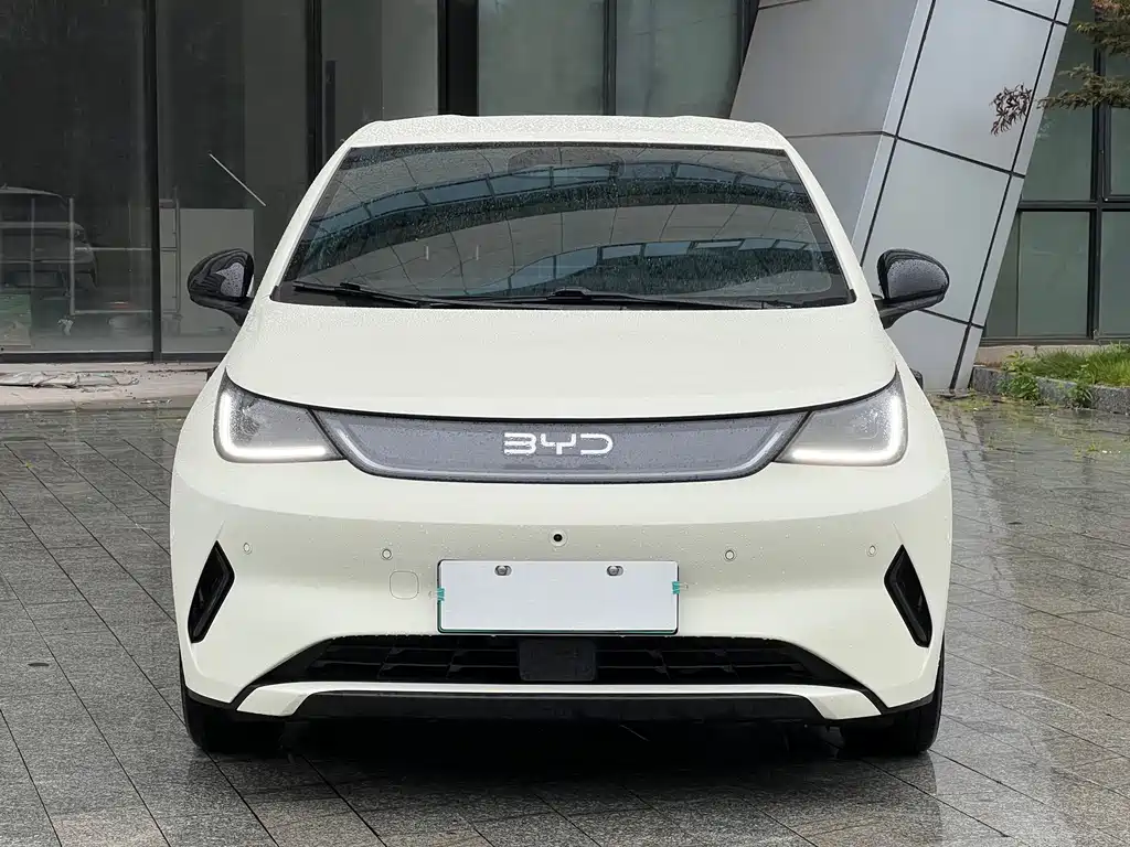 BYD Dolphin 2025