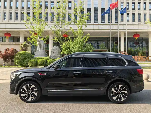 Hongqi HS7 2019