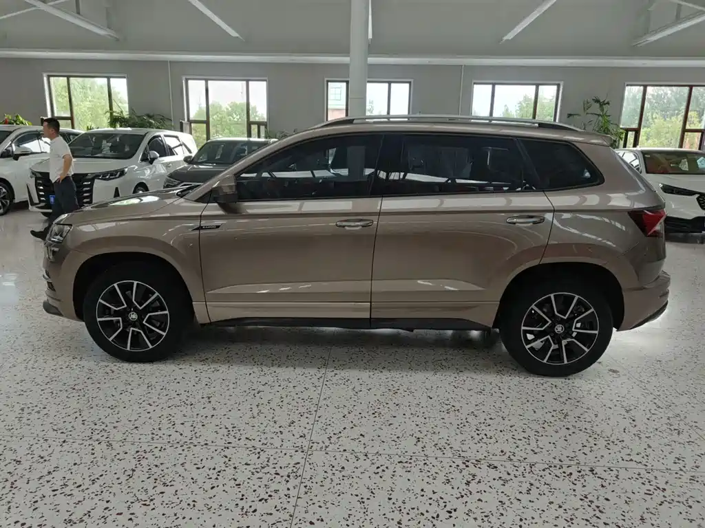Skoda Karoq 2023 — фото 4